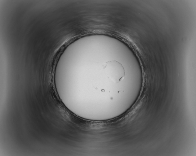 X0000088431211200705220847