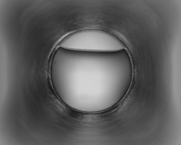 X0000088431212200705220847