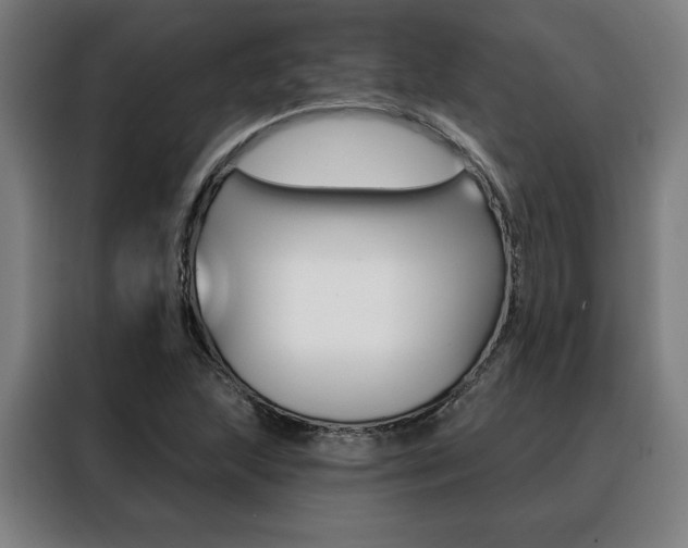X0000088431215200705220847