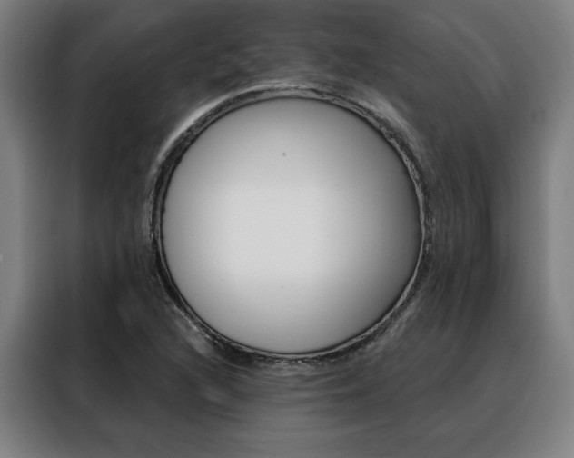 X0000088431216200705220847