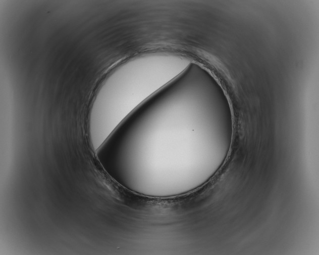 X0000088431217200705220847