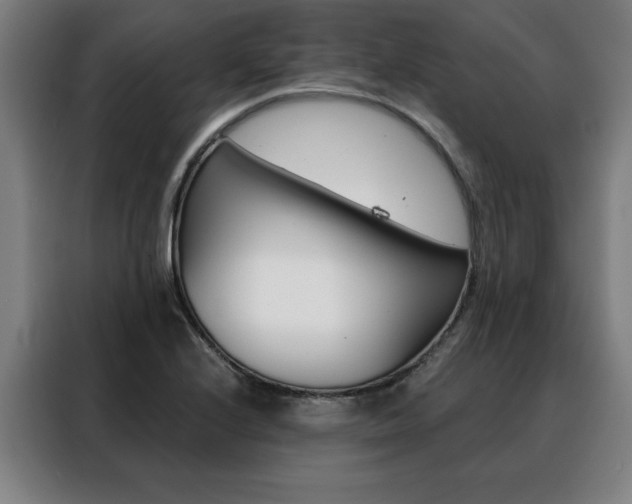 X0000088431224200705220847
