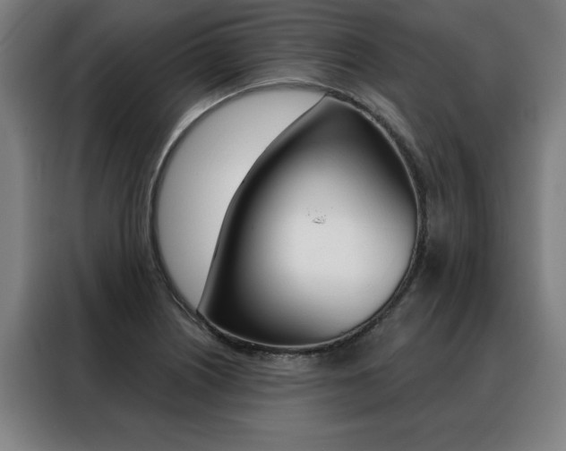 X0000088431226200705220847