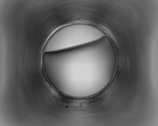 X0000088431228200705220847