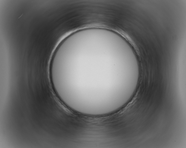 X0000088431230200705220847