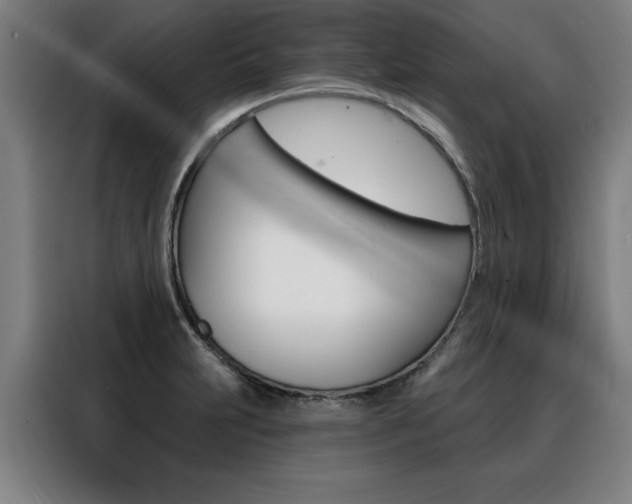 X0000088431231200705220847