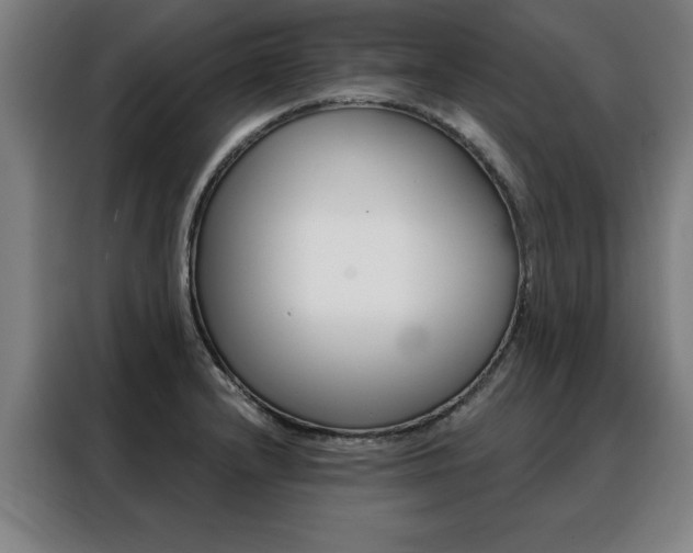 X0000088431232200705220847