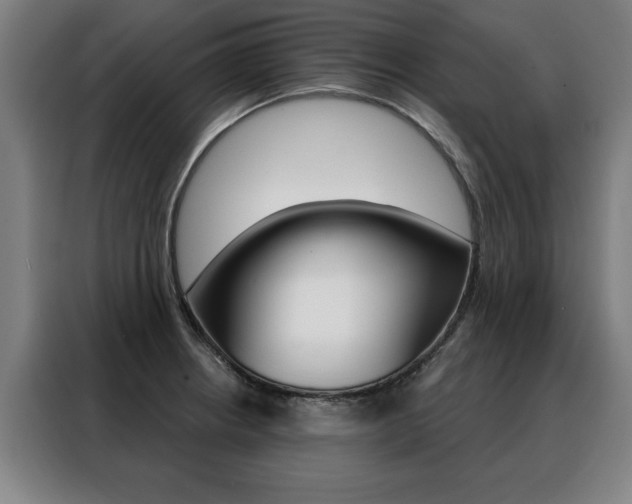X0000088431234200705220847