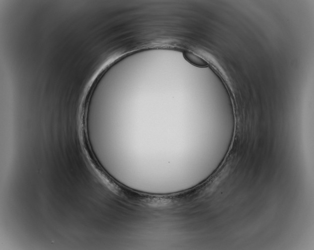 X0000088431235200705220847