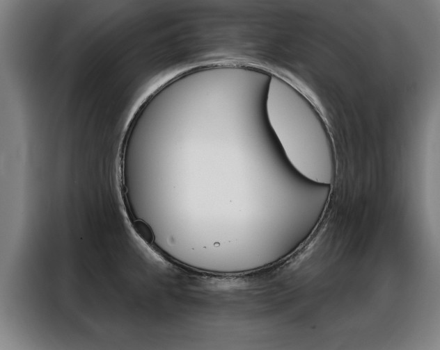 X0000088431239200705220847
