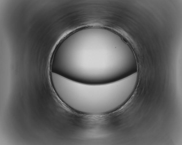 X0000088431240200705220847
