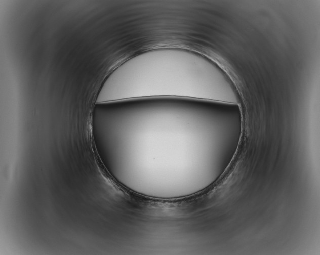 X0000088431241200705220847