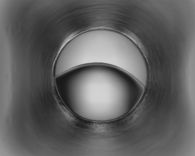 X0000088431242200705220847