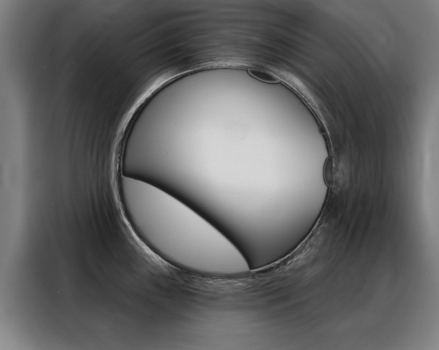 X0000088431243200705220847