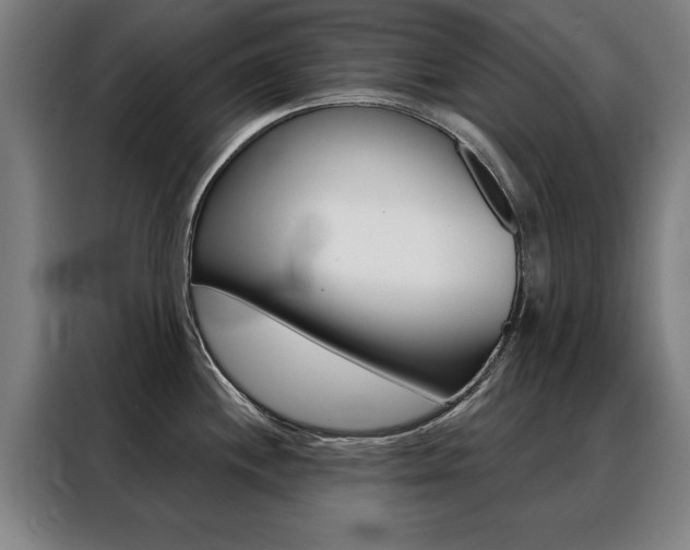 X0000088431244200705220847