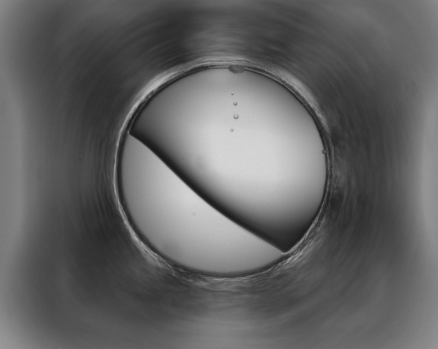 X0000088431245200705220847