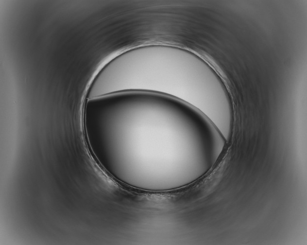 X0000088431246200705220847