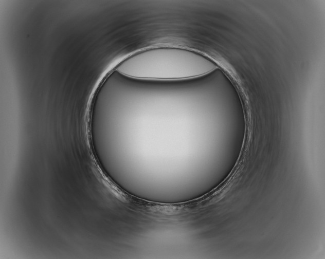 X0000088431248200705220847