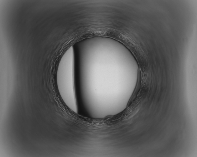 X0000088431249200705220847