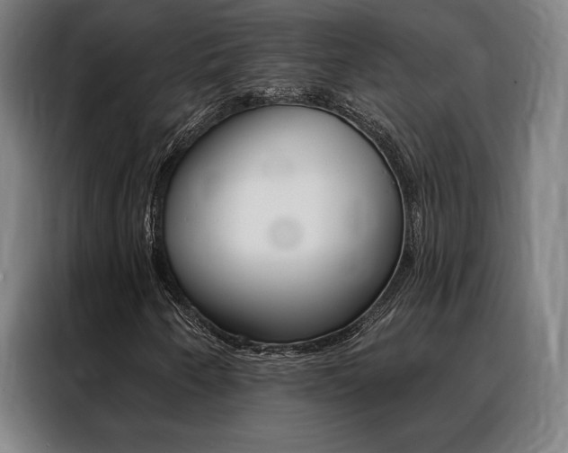 X0000088431250200705220847