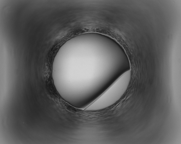 X0000088431253200705220847