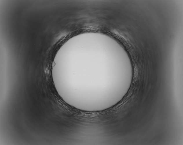 X0000088431254200705220847