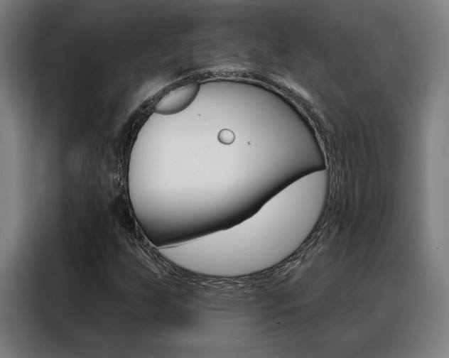 X0000088431255200705220847