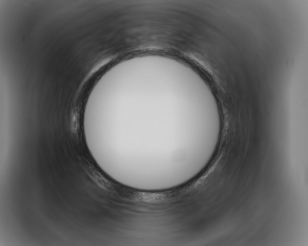 X0000088431258200705220847