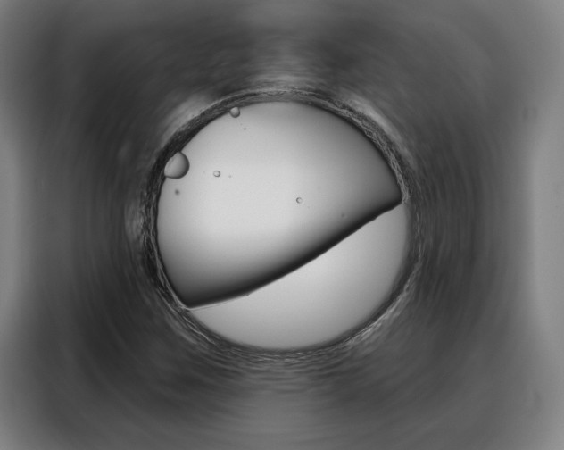 X0000088431259200705220847
