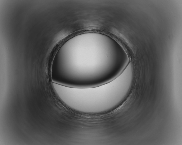X0000088431261200705220847