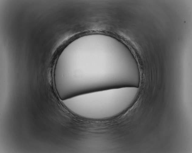 X0000088431262200705220847