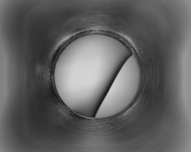 X0000088431263200705220847