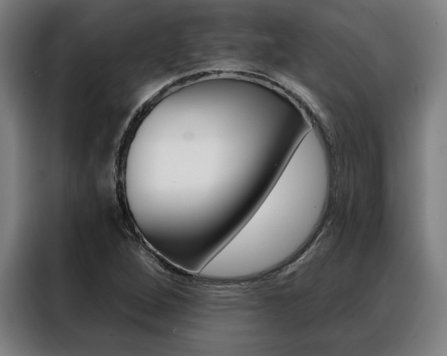 X0000088431264200705220846