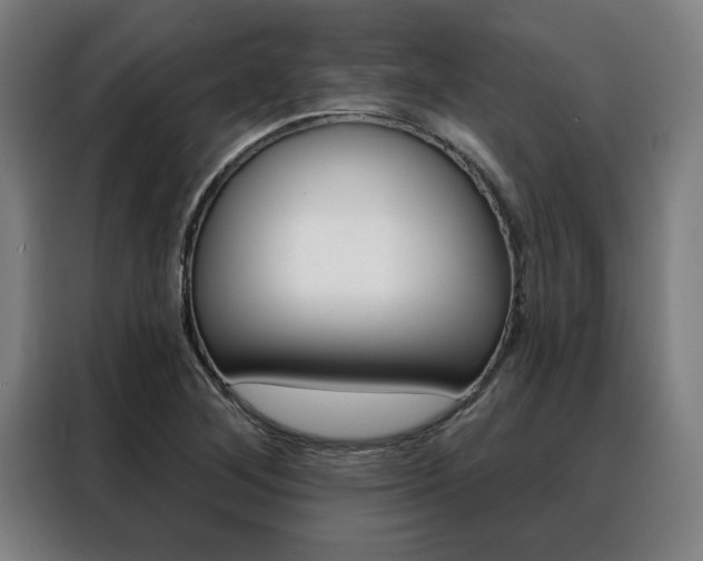 X0000088431268200705220846