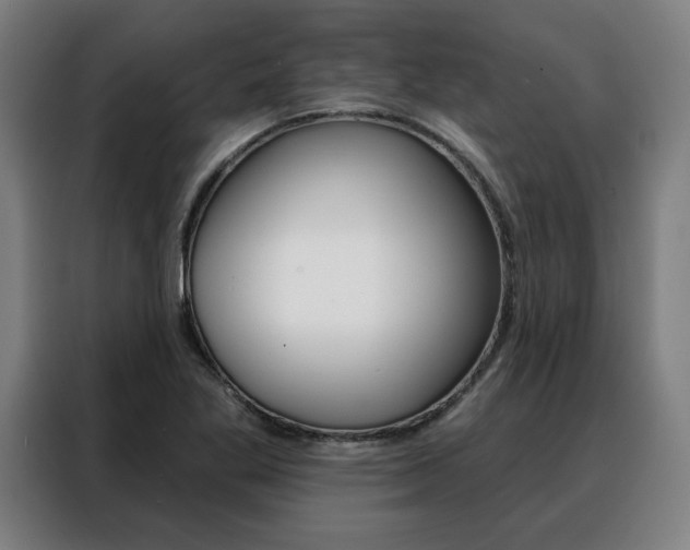 X0000088431269200705220846