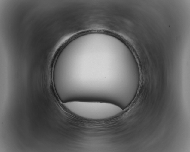 X0000088431271200705220846