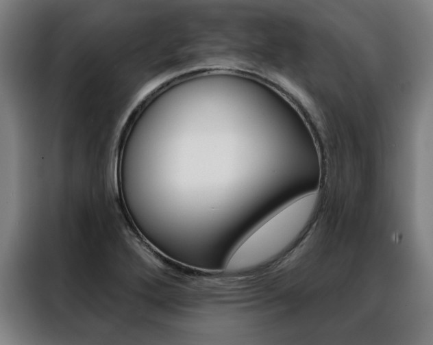 X0000088431272200705220846
