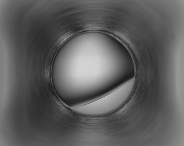 X0000088431273200705220846