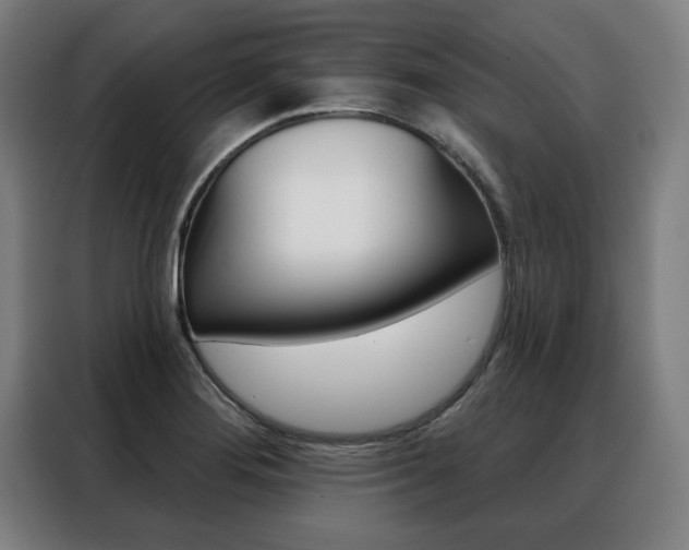 X0000088431276200705220846