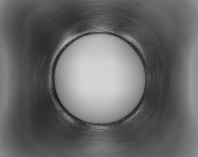 X0000088431278200705220846