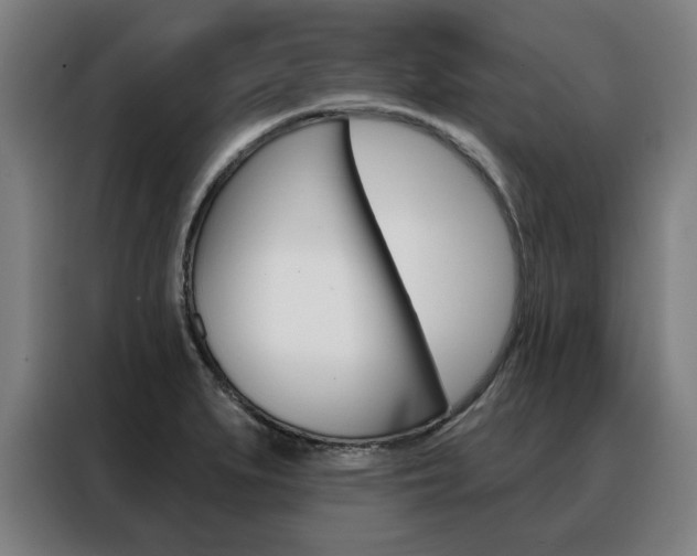 X0000088431279200705220846