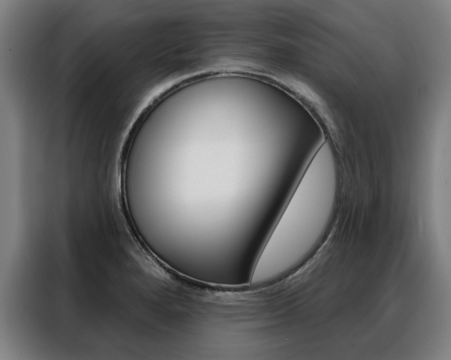 X0000088431280200705220846
