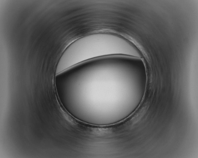 X0000088431281200705220846