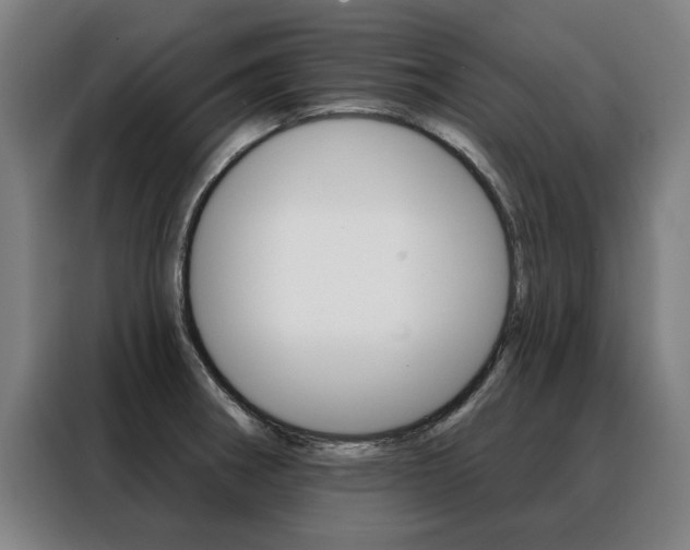 X0000088431282200705220846