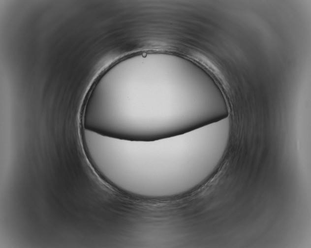 X0000088431283200705220846