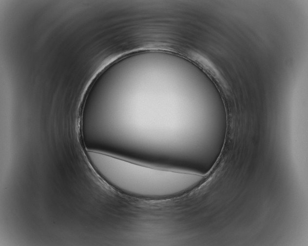 X0000088431284200705220846