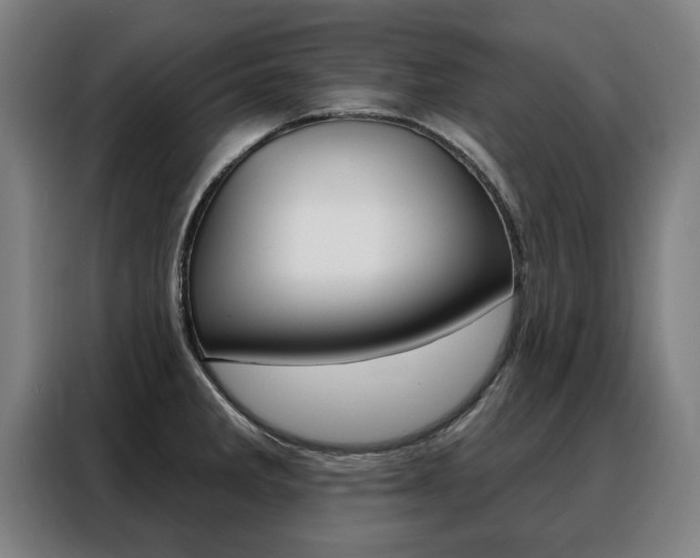 X0000088431285200705220846