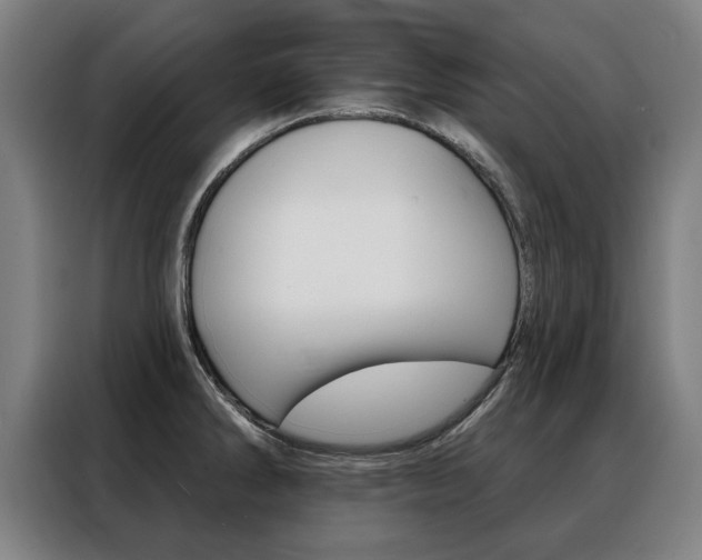 X0000088431286200705220846