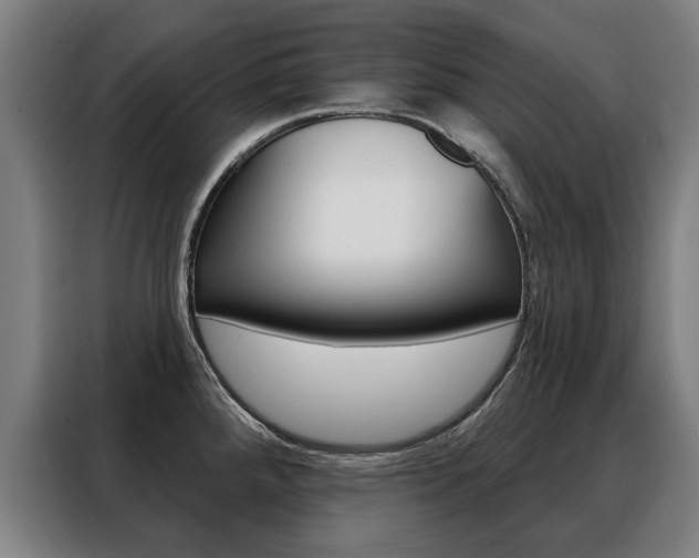 X0000088431288200705220846