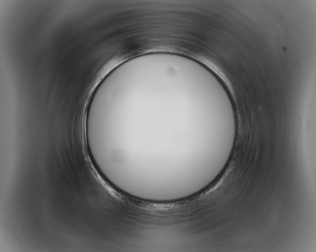 X0000088431290200705220846